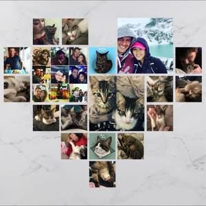 Meet your Posher, Anny